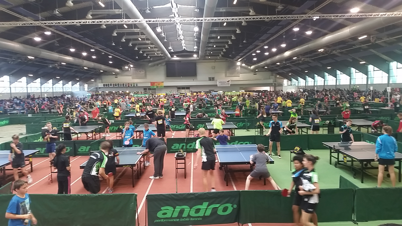 bild:Halle KidsOpen